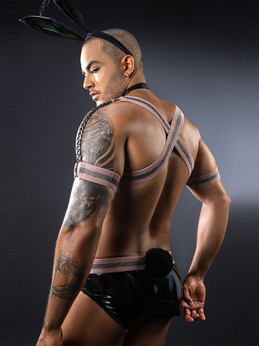 Men's Glossy Bunny Costume