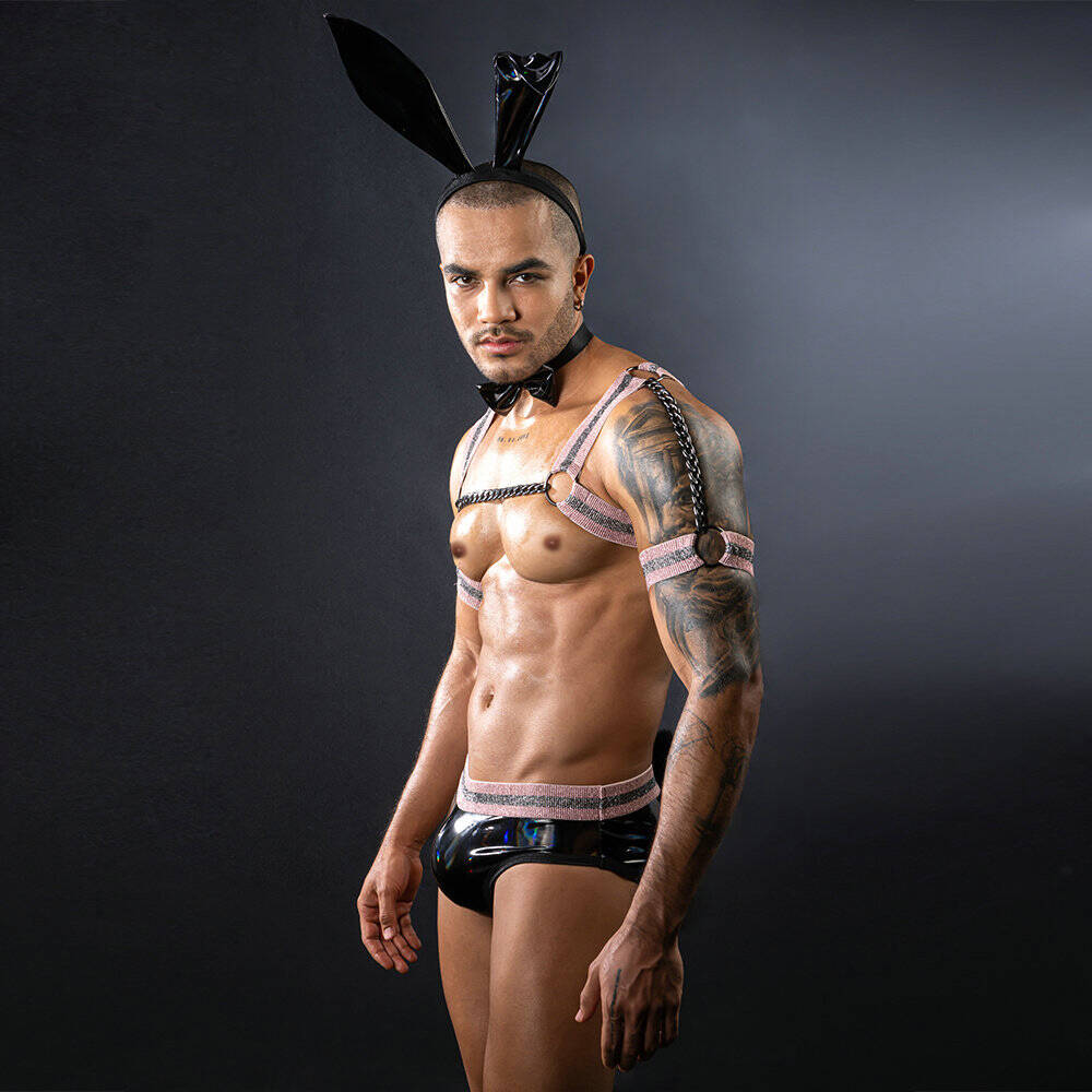 Men's Glossy Bunny Costume