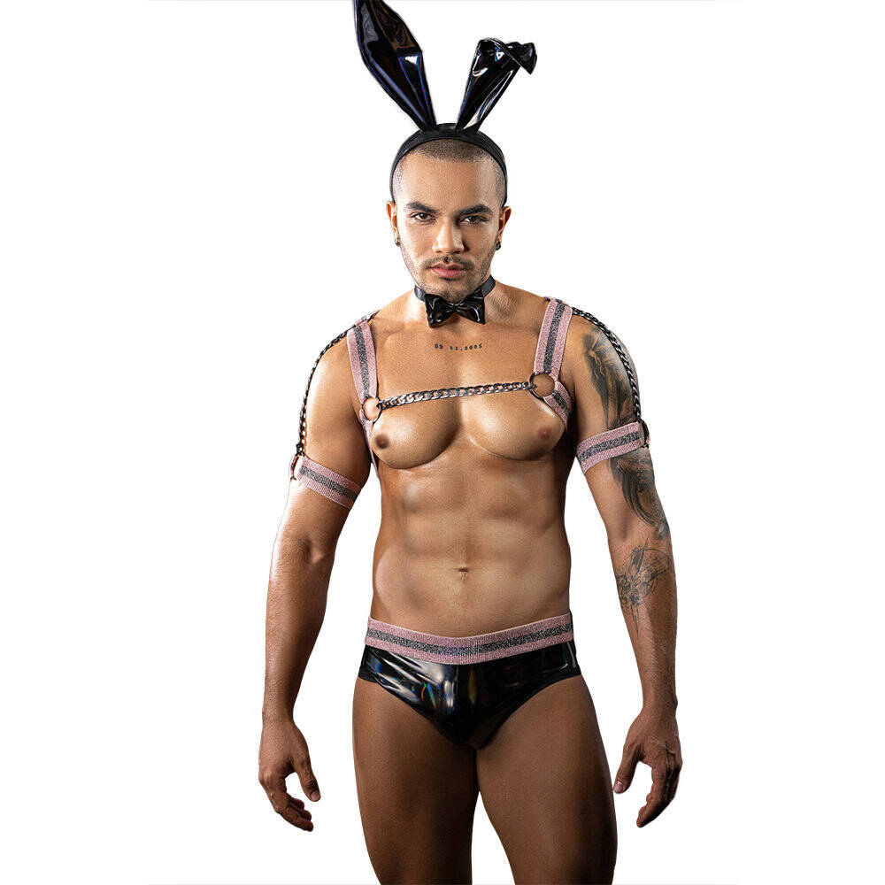 Men's Glossy Bunny Costume